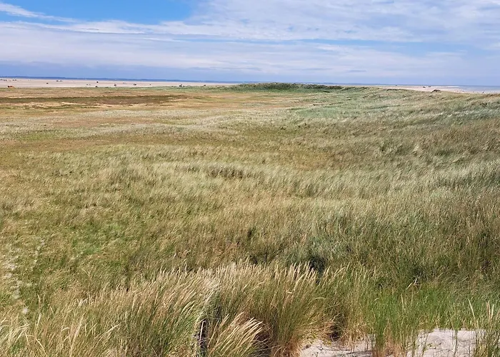 Luxury Family Retreat - By Traum Tatil Evi